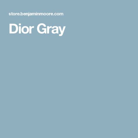 grey air dior|Dior gray paint.